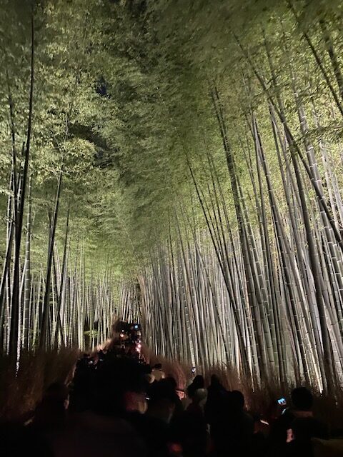 京都花灯路：東山・嵐山